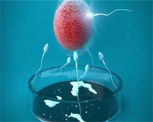 代孕网-代孕网哪家靠谱-为什么代孕初期醒得早