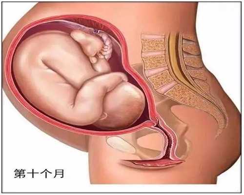 天津代孕好吗_代怀孕怎么让你怀孕_上海有代怀孕