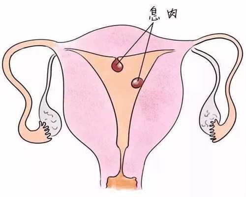 天津代孕网站哪家靠谱-在哪里可以做代孕手术_胎停育和早期流产，可以通过试