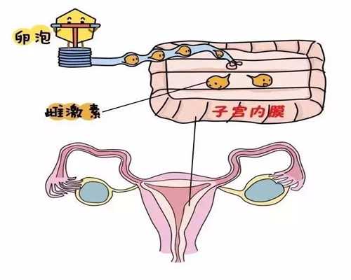 代孕贴吧-天津代孕大概要花多少钱_泰国外做试管婴儿需要的手续