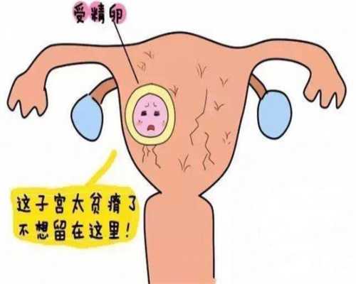 天津有供卵的生殖中心-助孕包性别中介_苏州三代试管最好的医院哪个医院做试